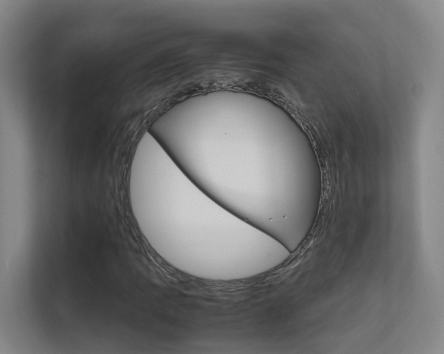 X0000112371109200908131249