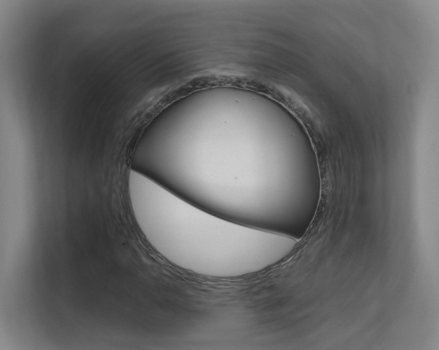 X0000112371110200908131249