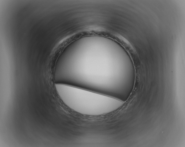X0000112371112200908131249