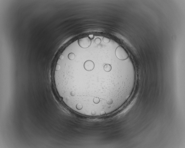 X0000112371113200908131249