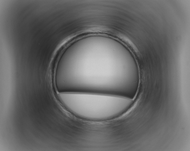 X0000112371114200908131249