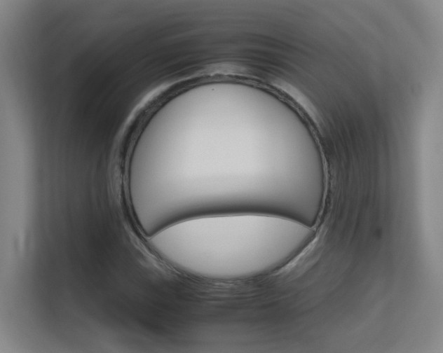 X0000112371115200908131249