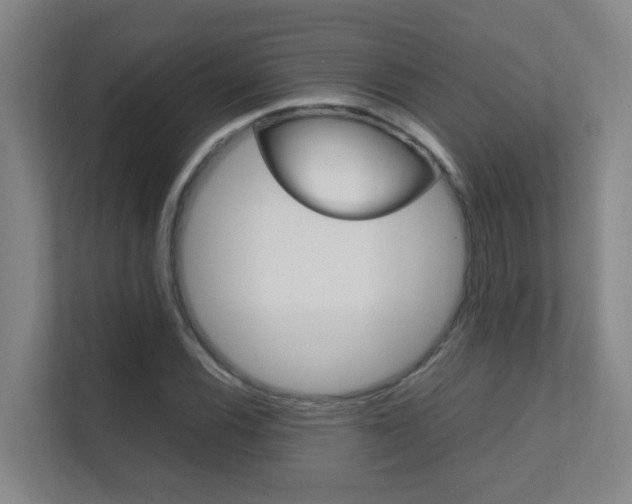 X0000112371116200908131249