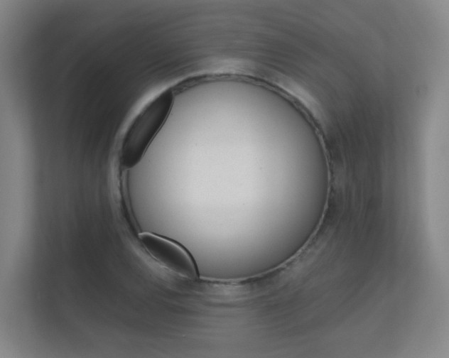 X0000112371120200908131249