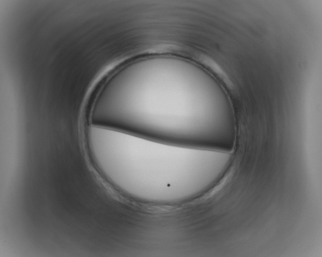 X0000112371122200908131249