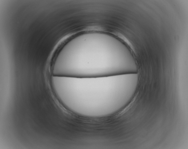 X0000112371123200908131249