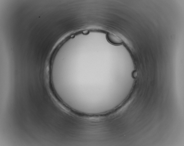 X0000112371126200908131249