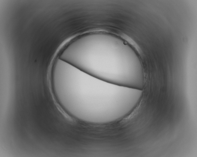 X0000112371127200908131249