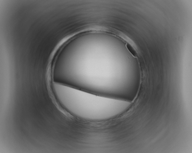 X0000112371128200908131249