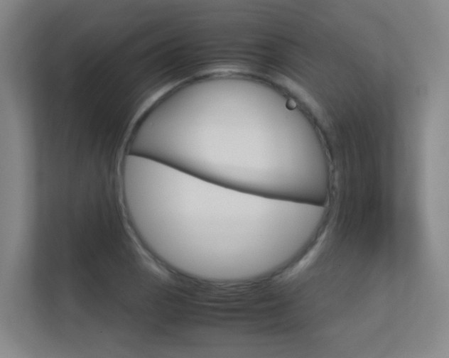 X0000112371129200908131249
