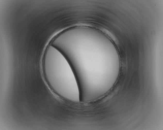 X0000112371133200908131249