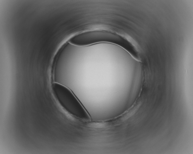 X0000112371134200908131249