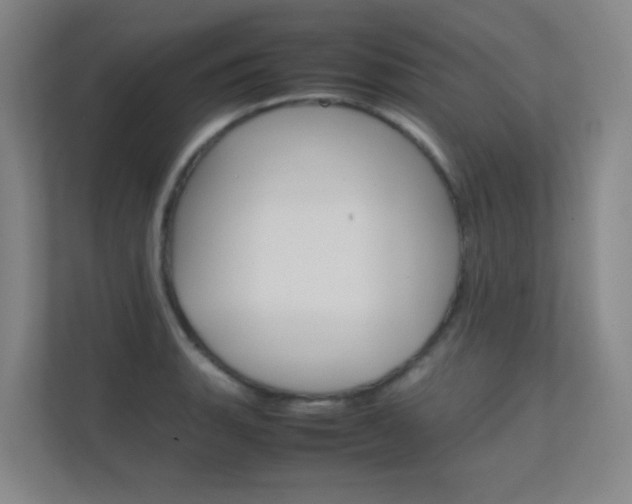 X0000112371135200908131249