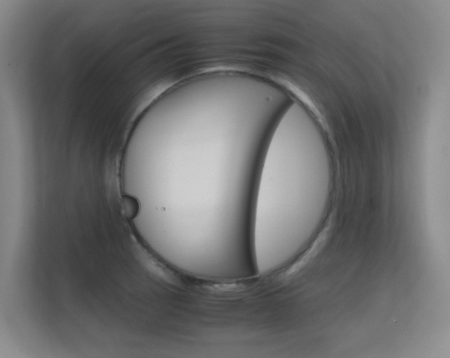X0000112371137200908131249