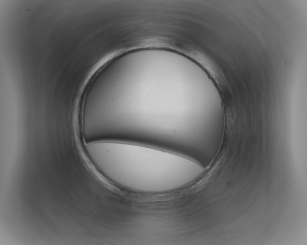 X0000112371142200908131249