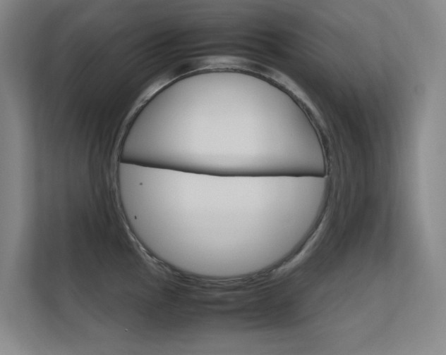 X0000112371145200908131249