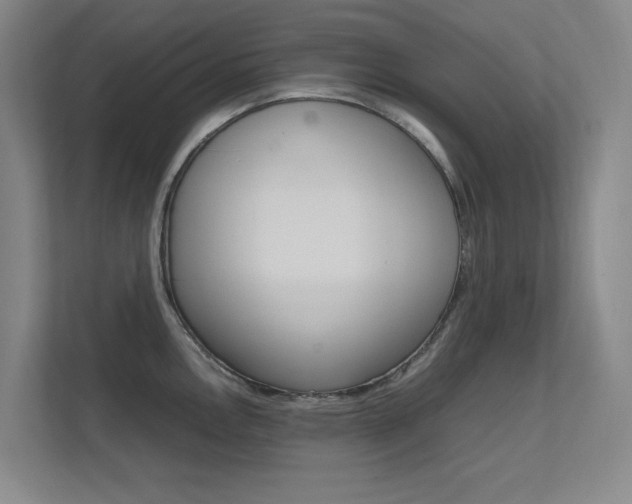 X0000112371146200908131249