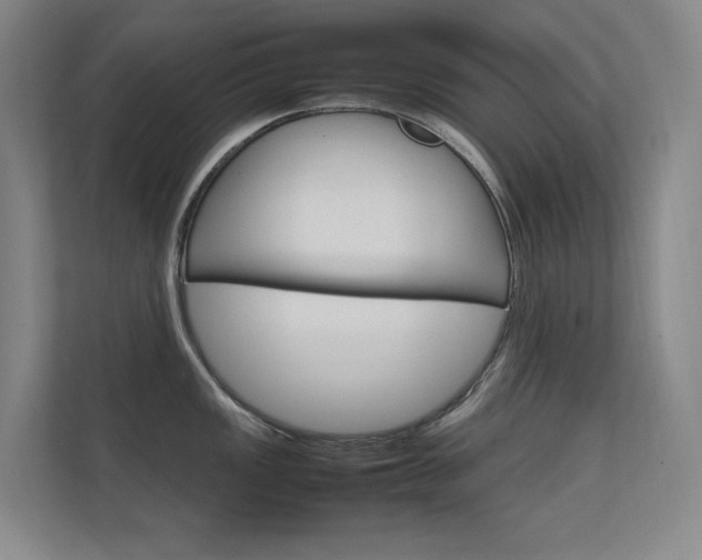 X0000112371149200908131249