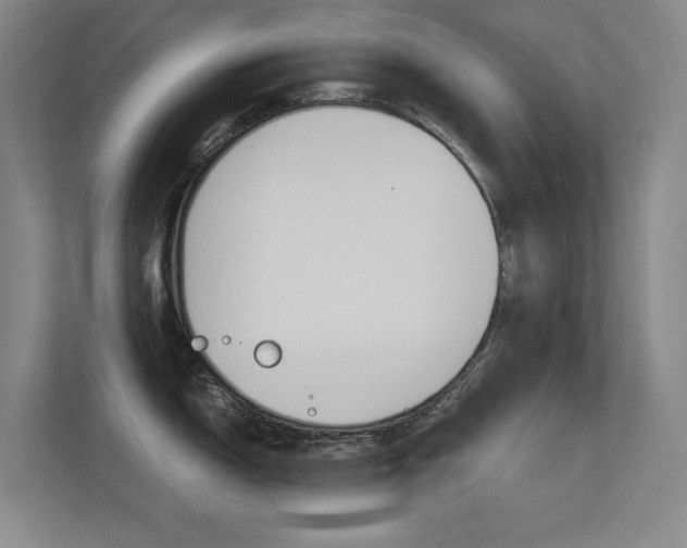 X0000112371150200908131249