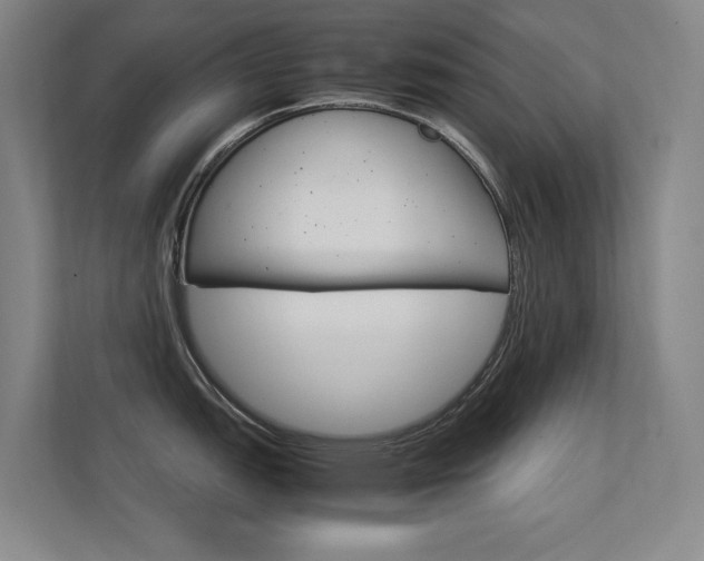 X0000112371151200908131249