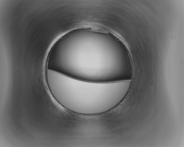 X0000112371152200908131249