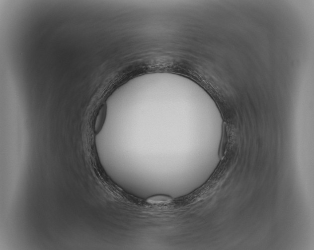 X0000112371153200908131249