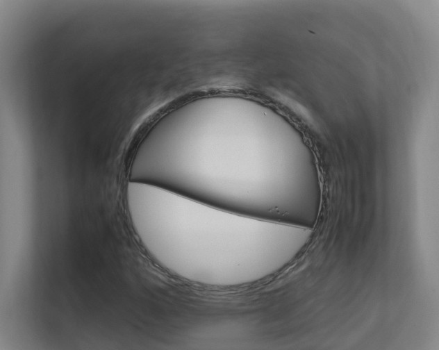 X0000112371160200908131248