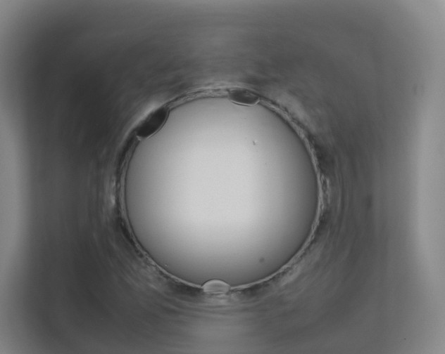 X0000112371165200908131248