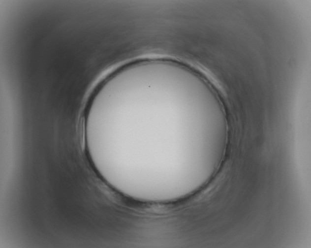 X0000112371175200908131248