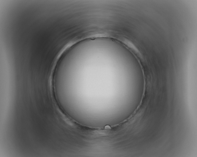 X0000112371181200908131248