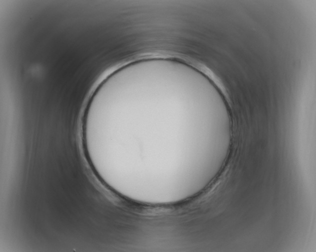 X0000112371187200908131248