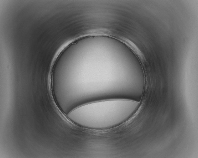 X0000112371196200908131248