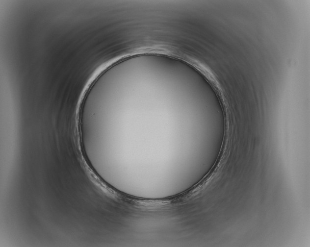 X0000112371200200908131248
