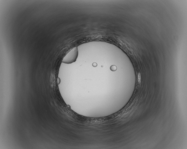 X0000112371203200908131247