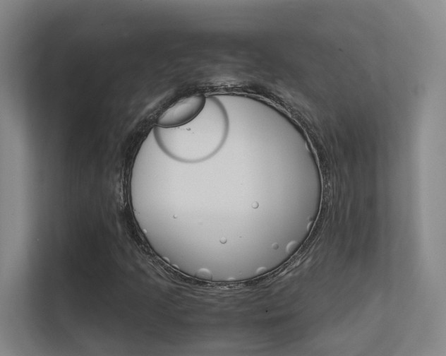 X0000112371205200908131247