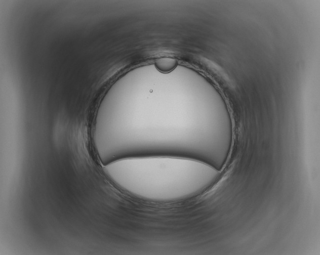 X0000112371209200908131247