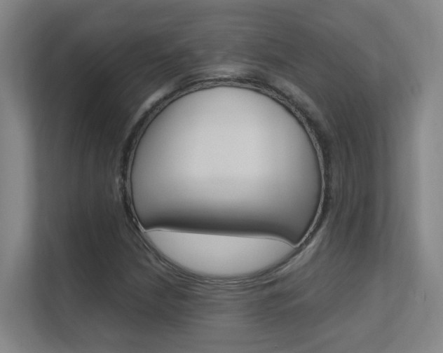 X0000112371210200908131247