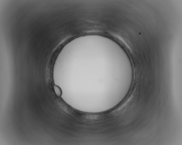 X0000112371211200908131247