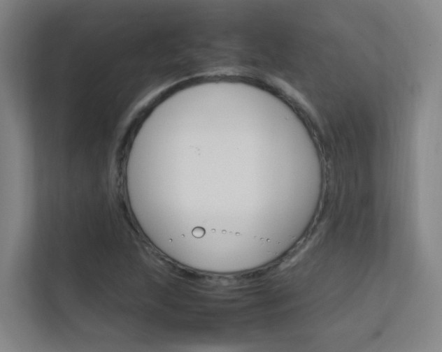 X0000112371215200908131247