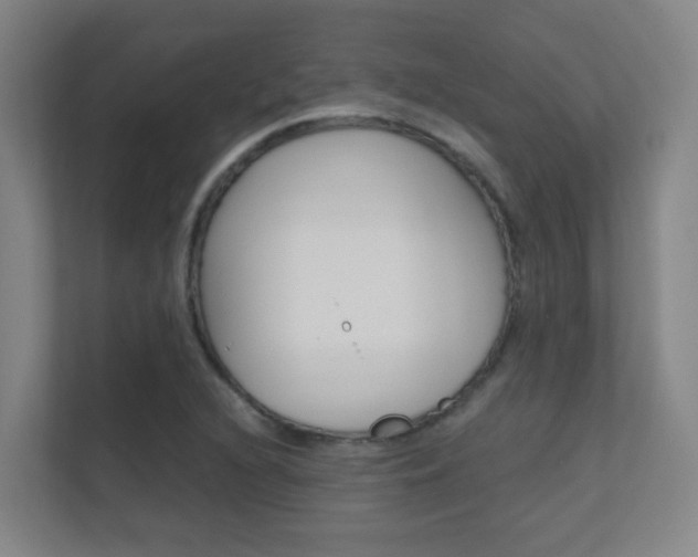 X0000112371216200908131247