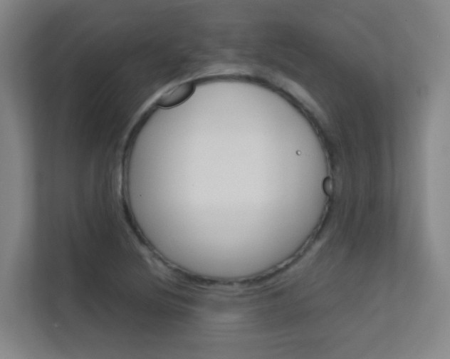 X0000112371220200908131248