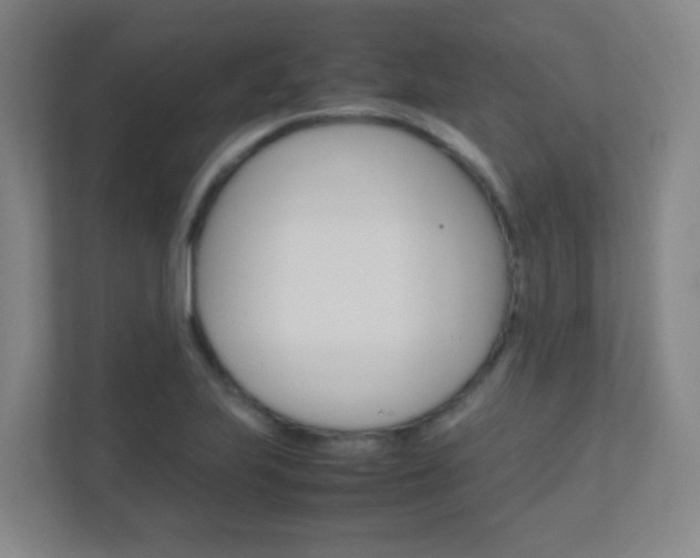 X0000112371223200908131248