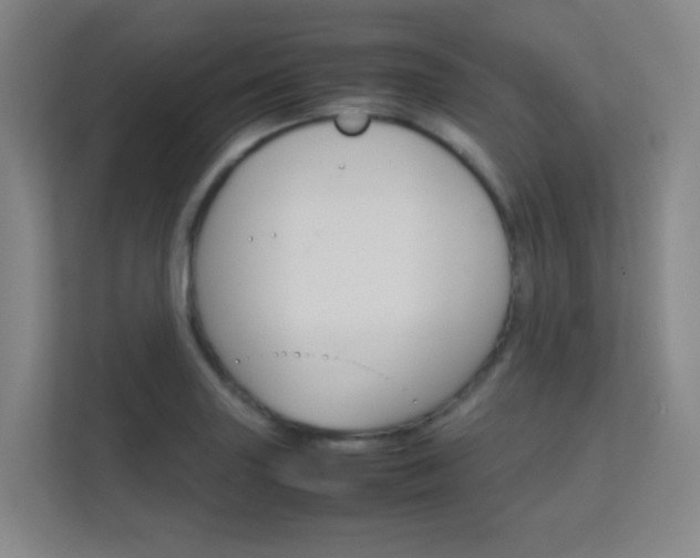 X0000112371227200908131248