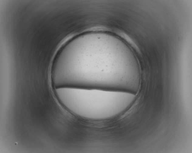 X0000112371229200908131248