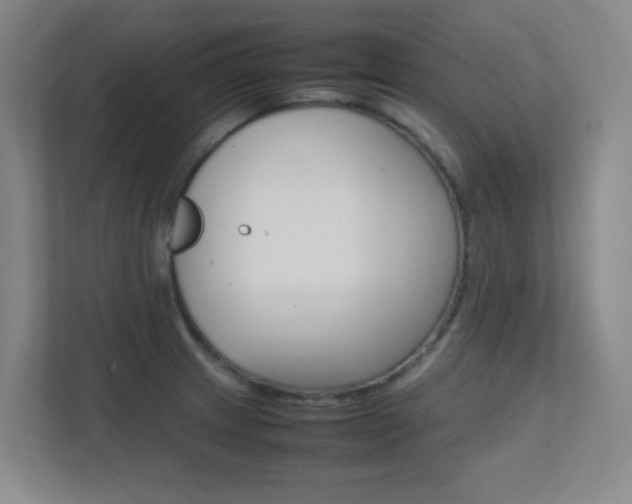 X0000112371233200908131248