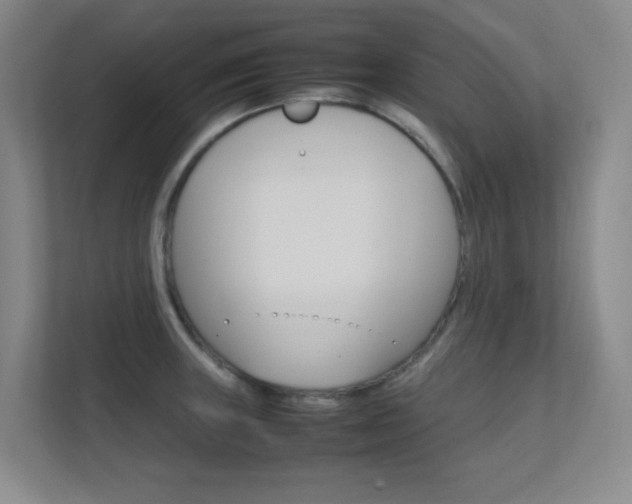 X0000112371235200908131248
