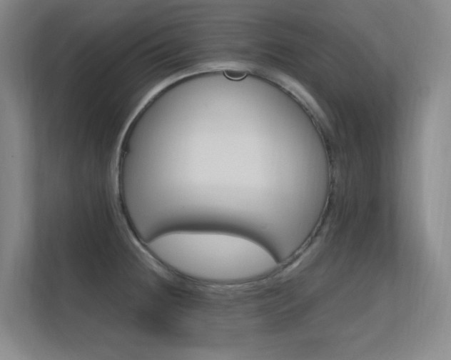 X0000112371236200908131248