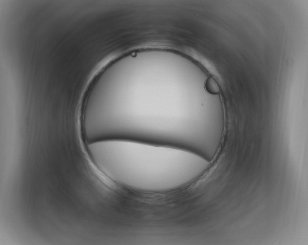 X0000112371237200908131248