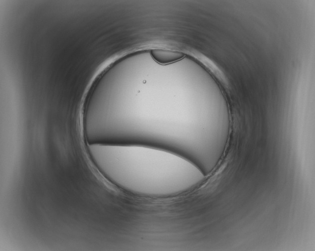 X0000112371238200908131248