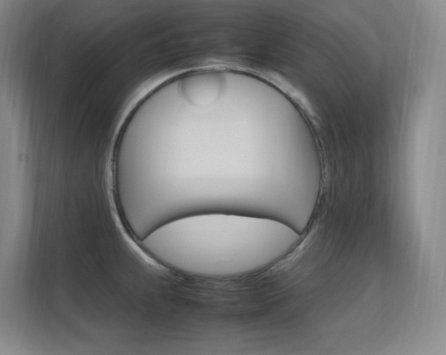X0000112371239200908131248